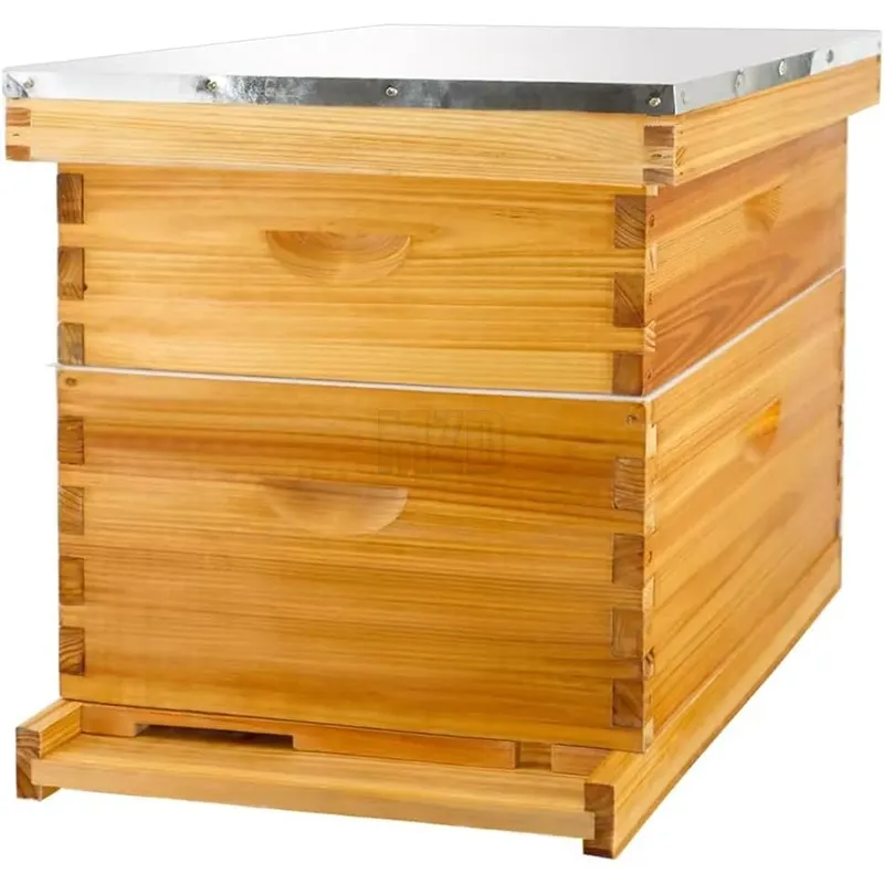 Precio barato, equipo de apicultura de miel, colmena de abejas recubierta de cera Langstroth automática, 10 marcos, caja de colmena de abejas de madera