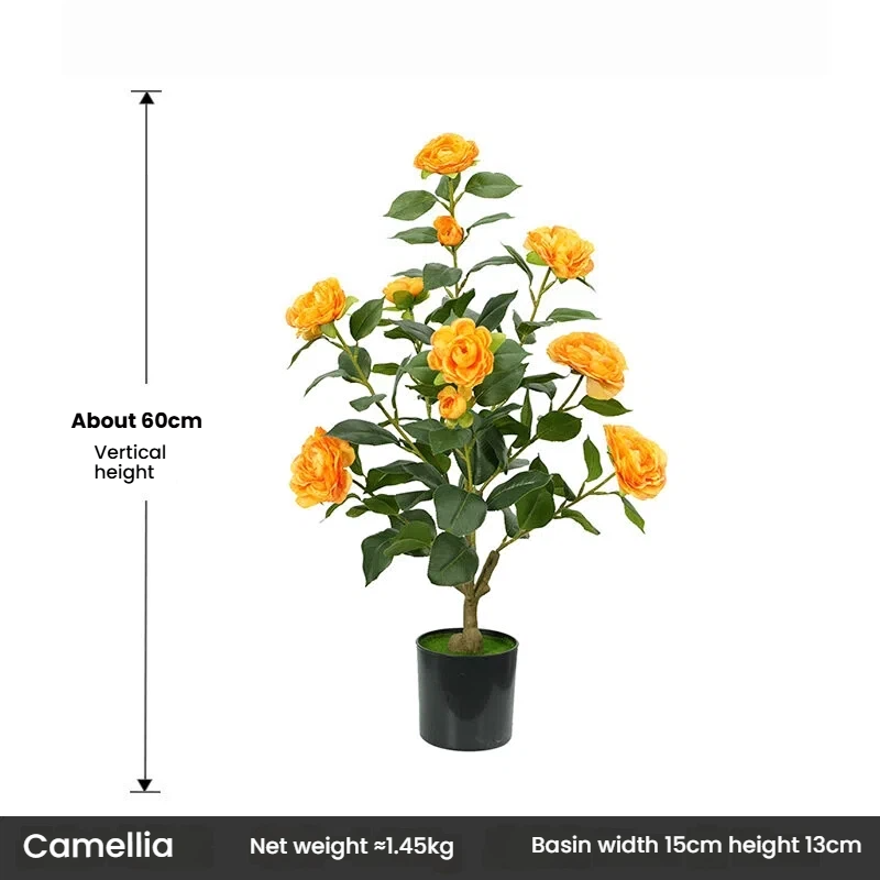 60 centimetri