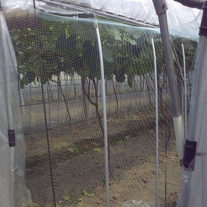 Vogelschutz netz Anti-Bird HDPE-Netz mit Kunststoff-und Nylon materialien geschnitten und geformt in Rollen verpackt