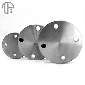 BJ Topti Trên Miếng Đệm Lỗ Mặt Bích Mù Chất Lượng Chuyên Nghiệp Mặt Bích MÙ ĐÔI Gr5 Gr2 - Product Image 6