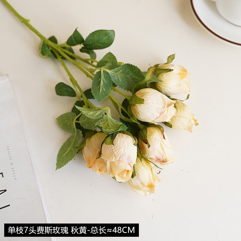 Autumn yellow-single branch 7 firth rose