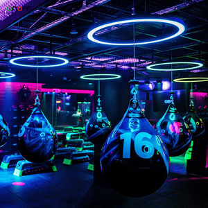 Kablosuz kontrol RGB RGBW LED asılı halka ışık renk değiştirme dekorasyon tavan işık için spor salonu - Product Image 6