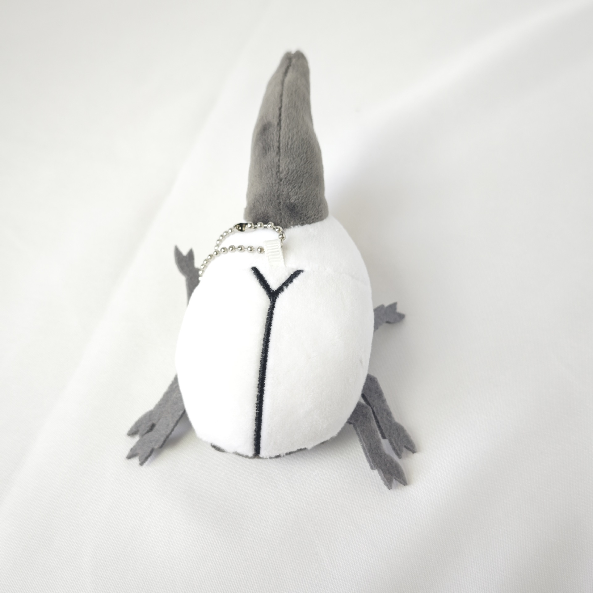 Insecte blanc
