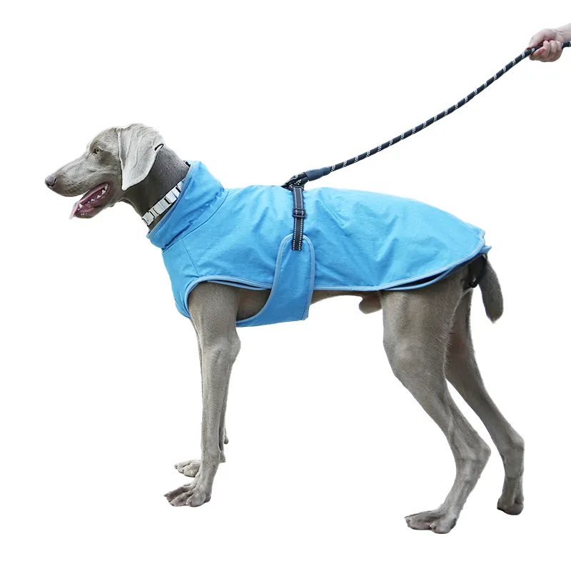 Giubbotto di raffreddamento per cani imbracatura evaporazione cappotto di raffreddamento per l'estate all'aperto escursioni in campeggio