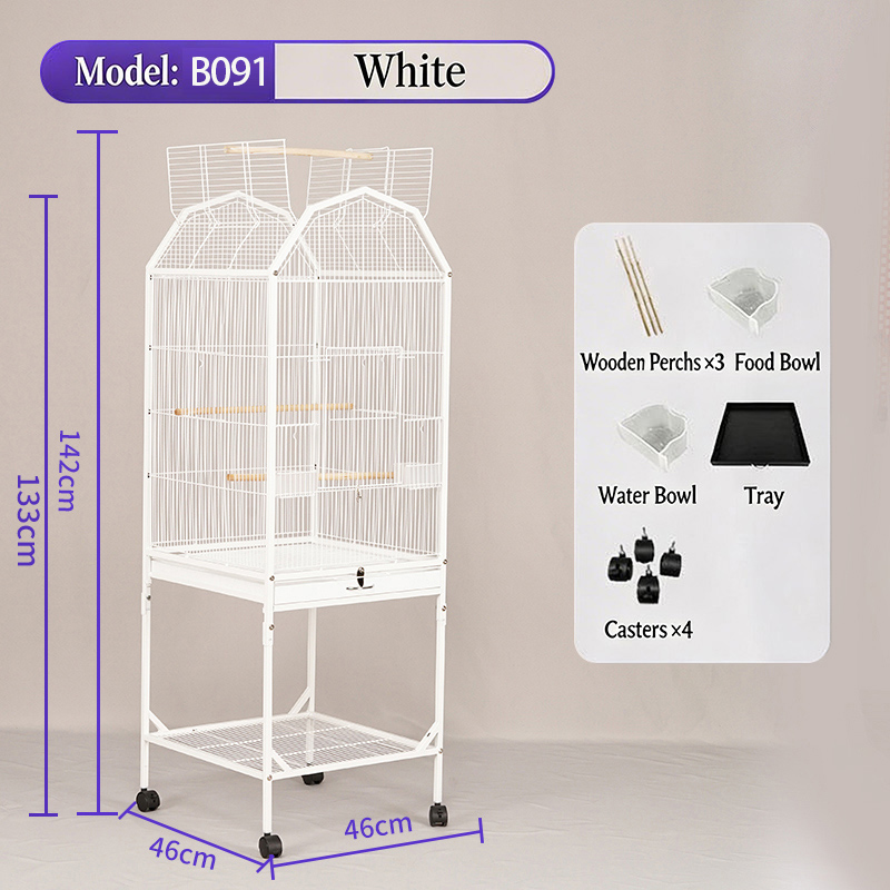White-B091