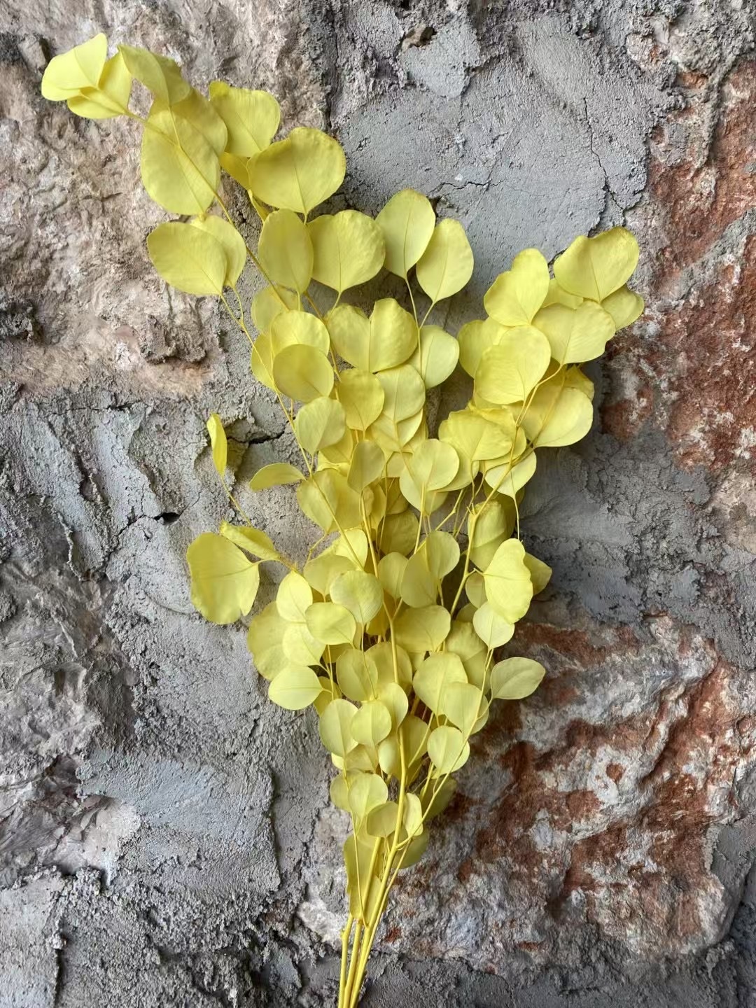 Amarillo