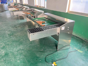 Máquina clasificadora automática de huevos de pato de alta eficiencia/Clasificador clasificador de huevos de 10000 piezas por hora/máquina clasificadora electrónica de huevos - Product Image 4