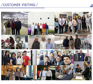 Chất lượng cao sang trọng axminster Thảm khách sạn Runner thảm cho khách sạn Thảm sàn thảm thủ công tường-to-tường thảm - Product Image 6