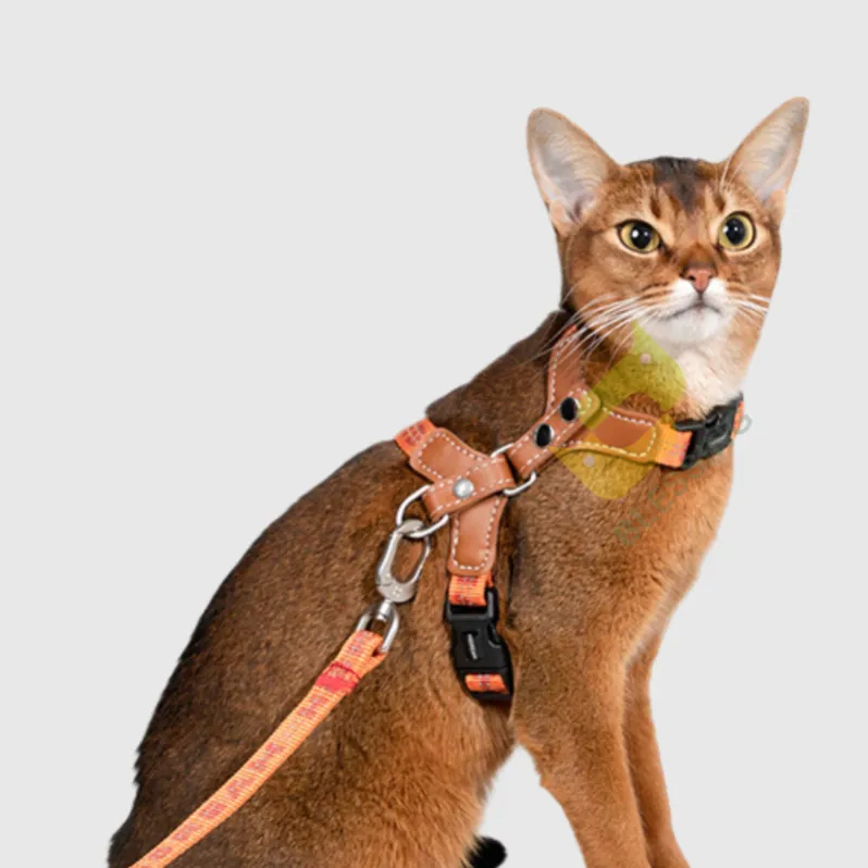 Toptan BoBo serisi kedi koşum yansıtıcı i-şekil Anti-Break ayarlanabilir kedi koşum ve tasma Set Pet koşum