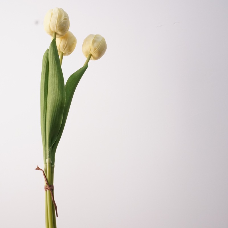 3 sprigs of camellia tulips-light yellow