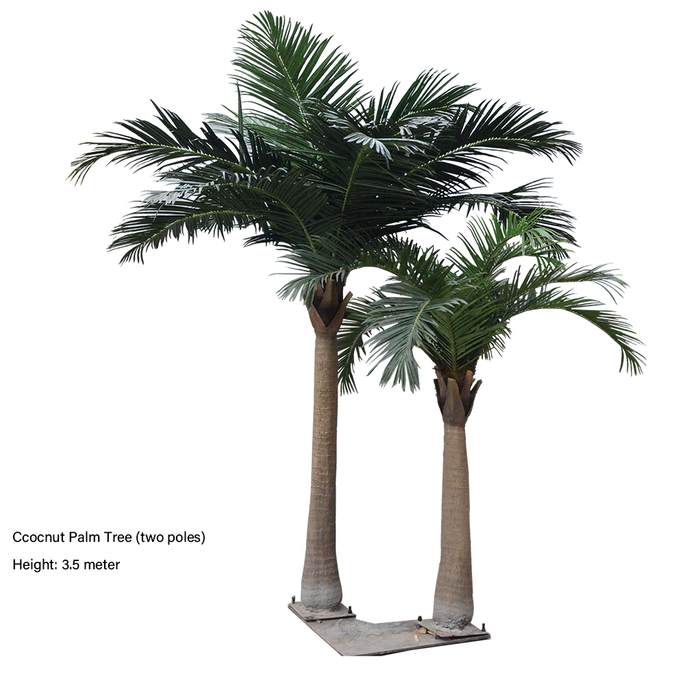 Coconut Tree ( two poles)