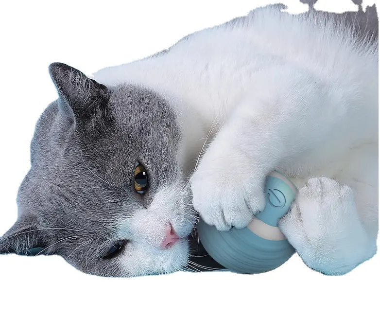 Gran oferta automática 360 bola rodante autorgiratoria con USB recargable mascota ejercicio persecución juguete bola gato inteligente bolas rodantes Juguetes