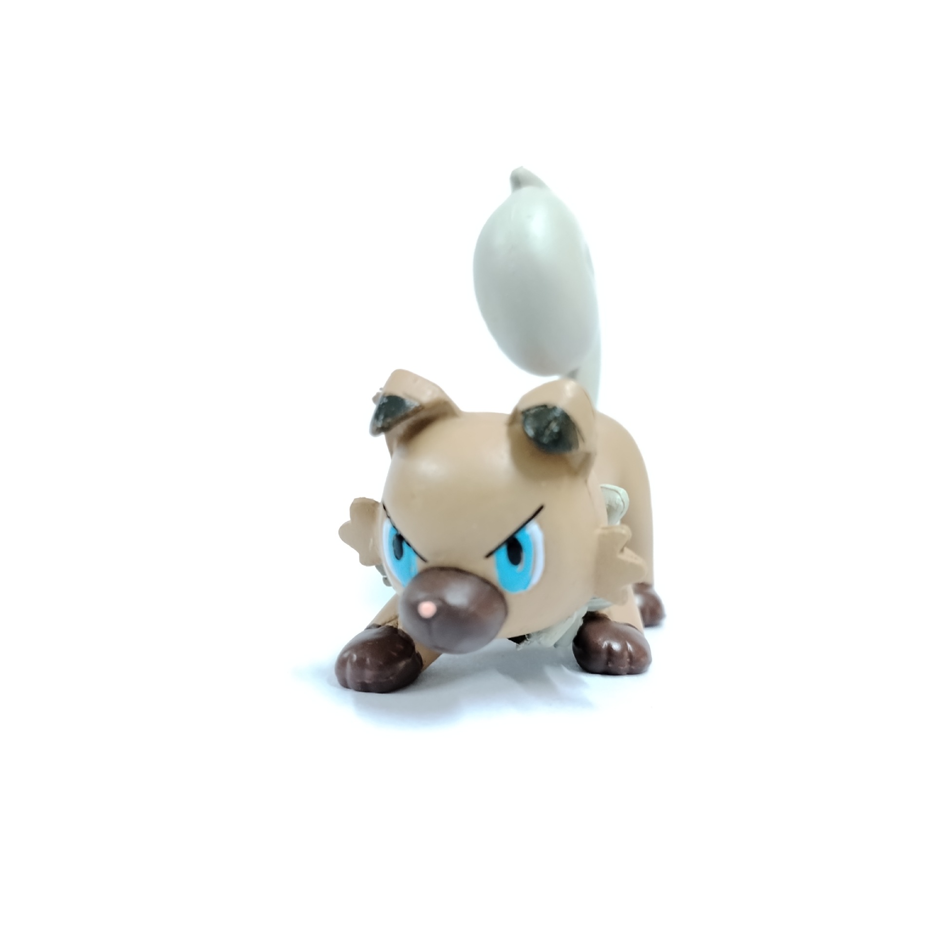 perro de roca