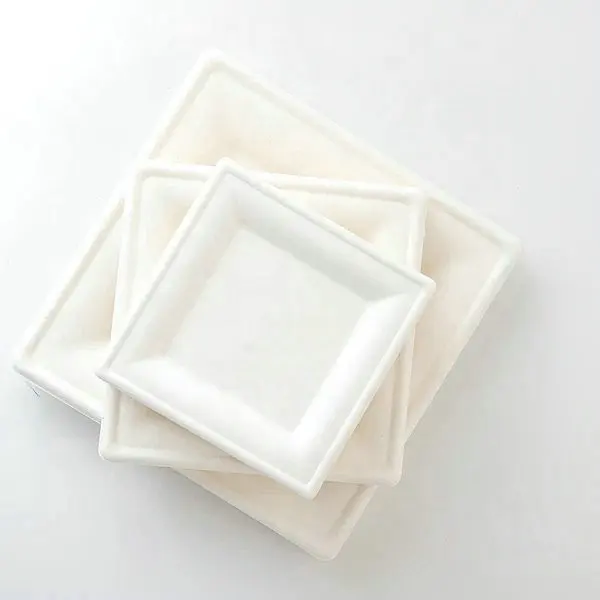 पर्यावरण के अनुकूल गन्ना आयताकार डिश प्लेट सफेद प्राकृतिक फास्ट फूड बायोडिग्रेडेबल डिस्पोजेबल प्लेट