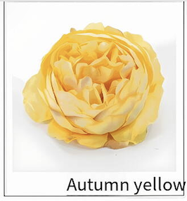 4-amarillo otoño