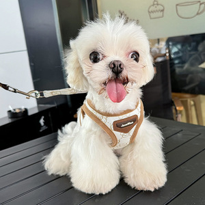 Penjualan laris rompi hewan peliharaan bentuk kartun berjalan modis Set <span class=keywords><strong>Harness</strong></span> anjing nyaman latihan luar ruangan - Product Image 2