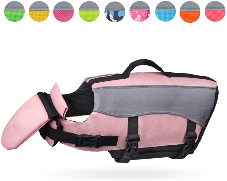 dog life jacket 10