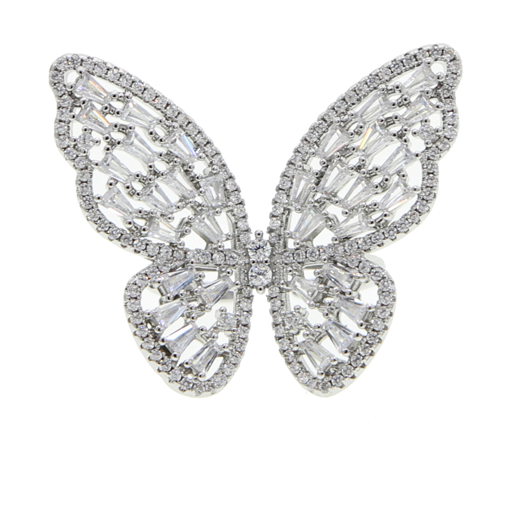 R252-argent