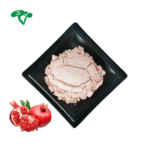 Sanxin fabrika kaynağı nar meyve 100% kırmızı nar suyu tozu - Product Image 1