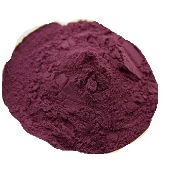 Bilberry Extract Powder 10:1