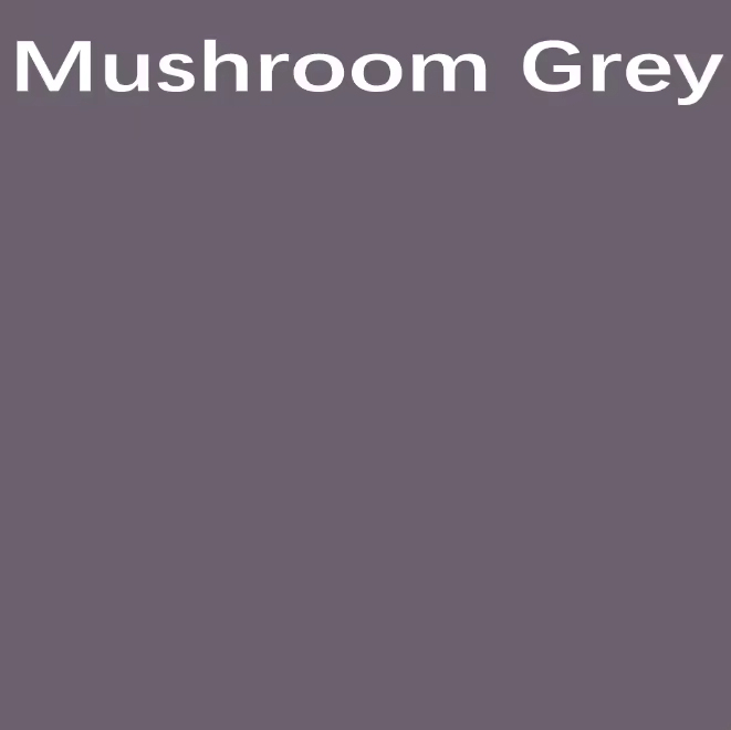 Grigio Fungo