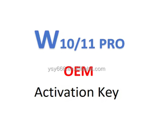 OEM Win11Pro 1PC Professional Plus Versión Software Incluye clave Envío en línea Sistema operativo Mac Soporte Función antivirus