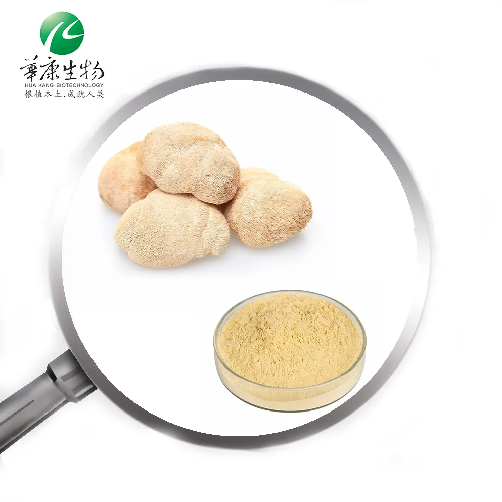 ISO Hala bahan kesehatan bersertifikat organik bubuk jamur singa sure ekstrak Jamur Hericium Erinaceus