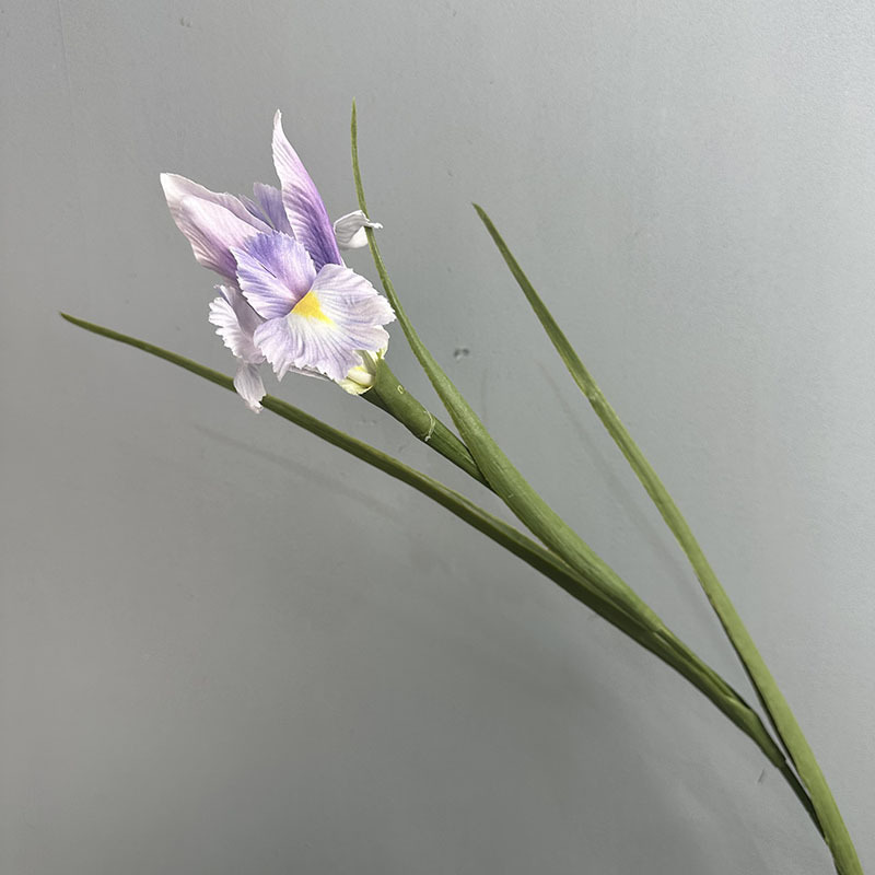 #3 light purple