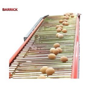 Kümes Hayvanları Çiftlikleri ve Sınıflandırma Ekipmanları için Barrick Ayarlanabilir Hızlı Yumurta Konveyör Bandı - Product Image 5