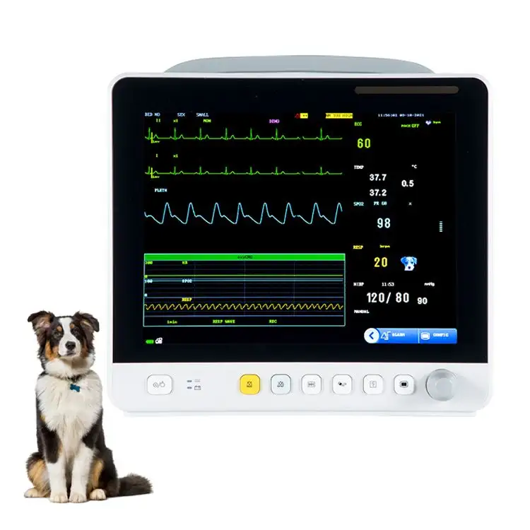 Monitor portátil de 12,1 pulgadas para uso veterinario, Monitor ECG para animales