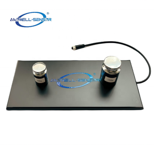 AMS Scale Series Customized Size Custom Colour Customized <strong>Output</strong> Capacity Weight Scale Force Plate Load Cell <strong>Sensor</strong> - Product Image 4