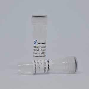 Tinzyme <strong>T4</strong> Polynucleotide Kinase Phosphorylation of the 5 'end of Primers or PCR Products for Linkage Reactions - Product Image 3