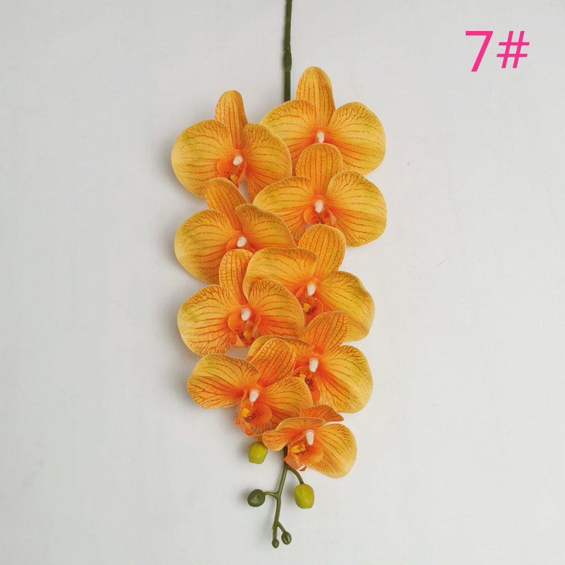 style7 orange