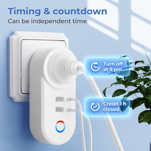 Glomarket akıllı yaşam Tuya İsrail Wifi fişi çift Usb soket ses kontrolü zamanlayıcı ile çalışır Alexa Google ev - Product Image 5