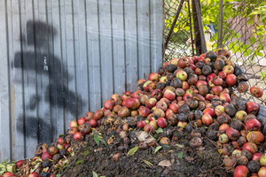 Macchina riciclata per sacco della spazzatura intelligente con codice colore per lo smistamento commerciale del contenitore dei rifiuti urbani linea di riciclaggio dei rifiuti - Product Image 3