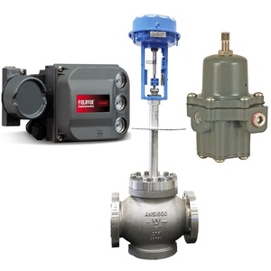 Flow <strong>Control</strong> Valve with Fisher DVC6200 Valve Positioner and 67CFSR Filter Regulator - Product Image 2