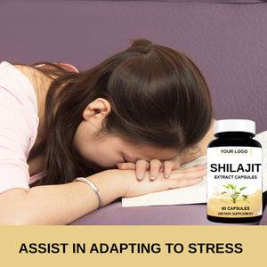 Acentiallabs 60PC nhãn hiệu riêng tự nhiên tinh khiết Mẫu chăm sóc sức khỏe bổ sung shilajit chiết xuất viên nang, Himalaya shilajit viên nang - Product Image 3