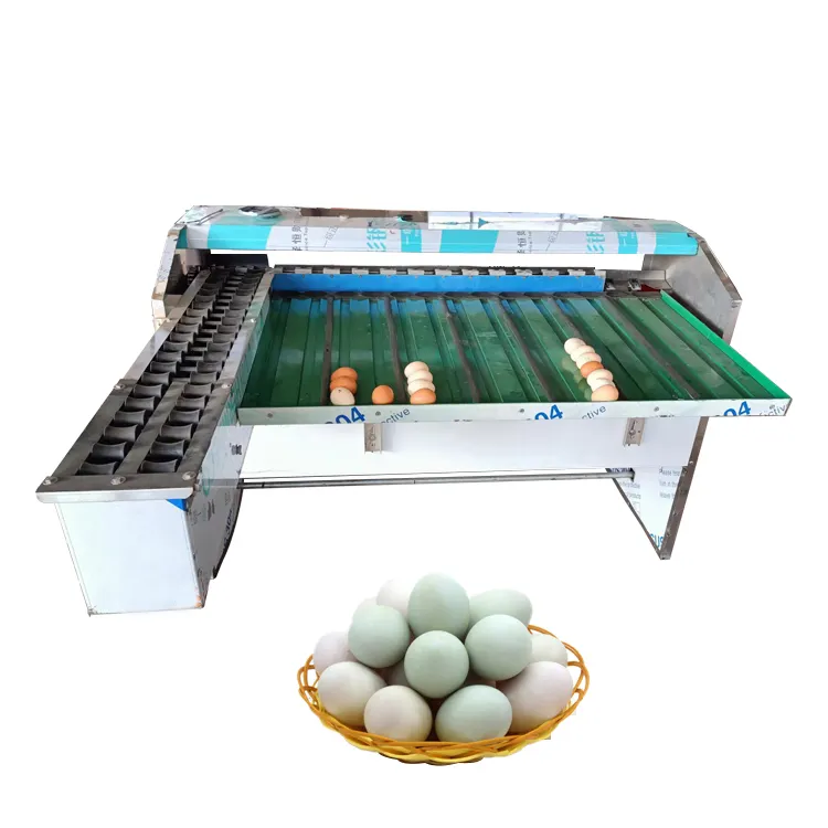 Eiersortiermaschine nach Gewicht Eiersortiermaschine nach Gewichtkontrolle Fabrikdirektverkäufe Hühner-Kleineneiersortierer