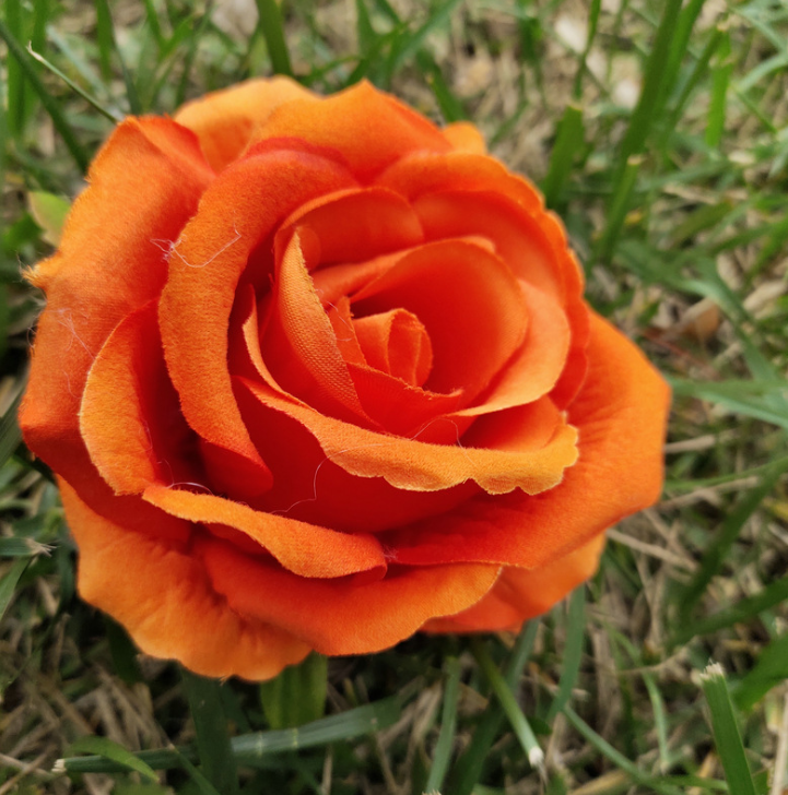 Arancione
