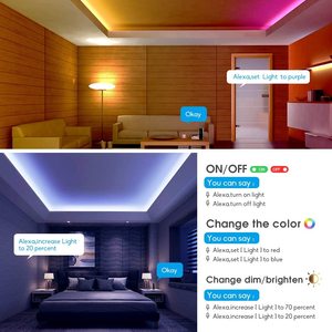 OEM Smart Life Output Wireless telecomando LED Controller Alexa Google Home Tuya 12V Wifi Mesh BLE APP Multi RGB Led Strip Controller