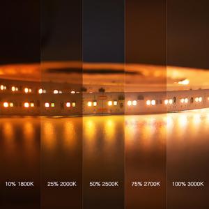 新着DTWLEDライトストリップDC24V 1800K 3000K CCT LED Stipe for Living Room