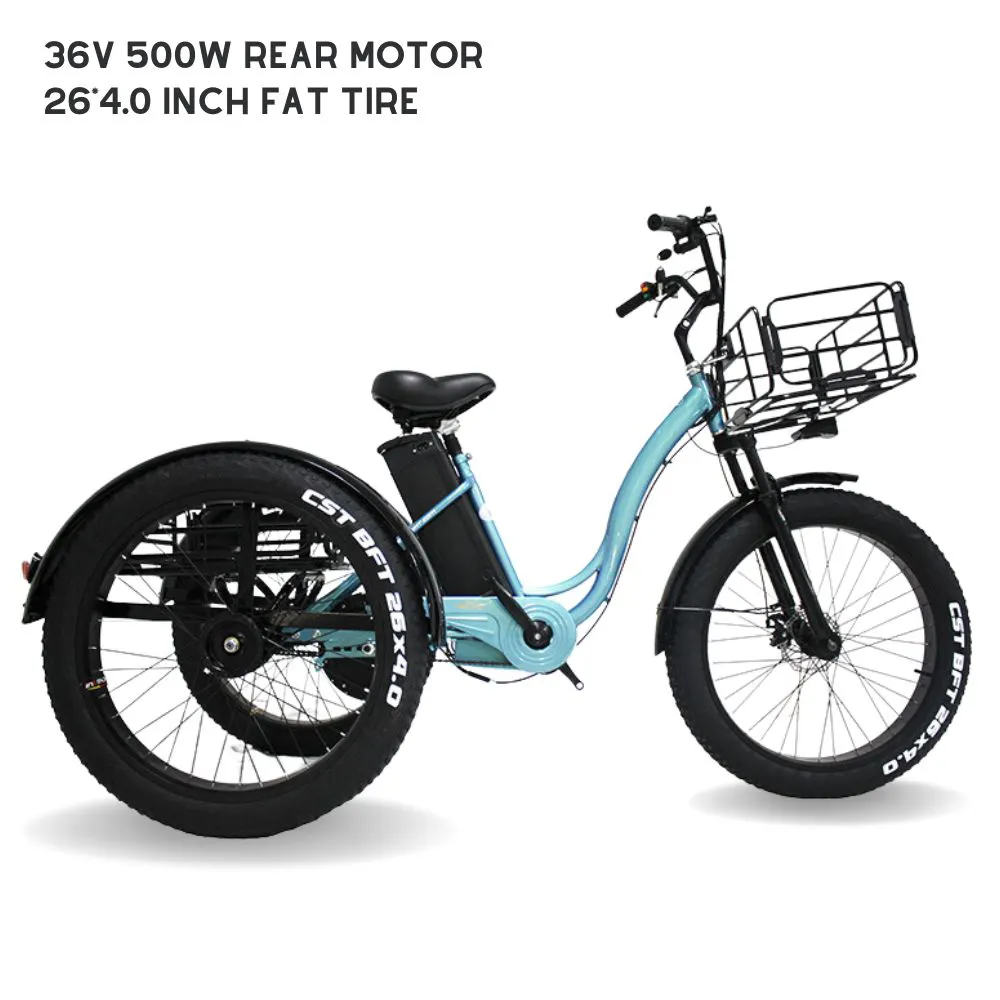 500W Driewielers Bakfiets Fietstas Elektrische Riksja 3-wiel Elektrische Scooter Voor Volwassen Driewieler