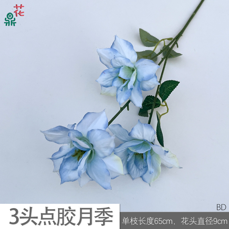 Rose collée 3 têtes BD bleu