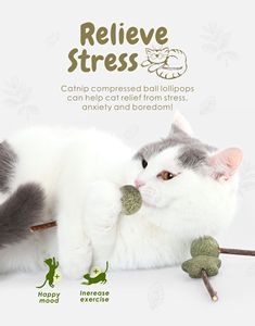 New Arrival <strong>Catnip</strong> Cat Toys Pet Products Fresh Cat <strong>Catnip</strong> Toys Mint Natural Safety Cute Shape Ball Cat Lollipop <strong>Catnip</strong> Toy - Product Image 4
