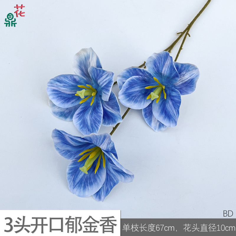 3-headed open tulip (BD, blue)