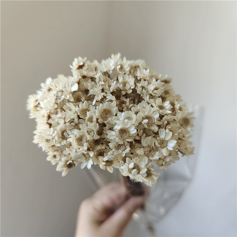 50 stems - White