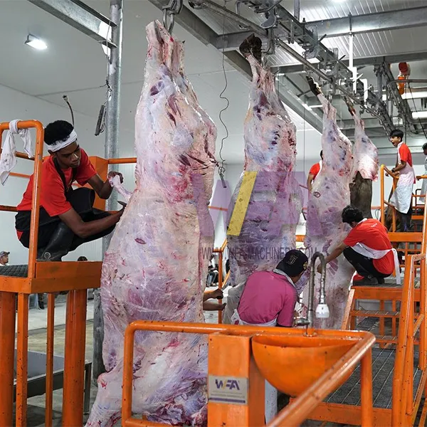 Équipement d'abattoir halal Outil de boucherie pour l'abattage des vaches Ligne de machines d'étourdissement avec équipement d'abattoir de bétail