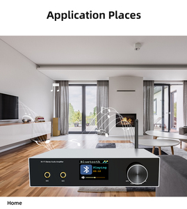 Amplificador de sistema de audio para el hogar BT RCA, entrada de fibra óptica LAN ARC, disco U, amplificador estéreo HiFi, compatible con micrófono - Product Image 5