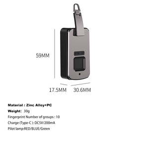 Bolsa desbloqueada con huella dactilar biométrica, bloqueo de Control de acceso, aleación de Zinc, sistema inteligente electrónico integrado, bloqueo de huellas dactilares