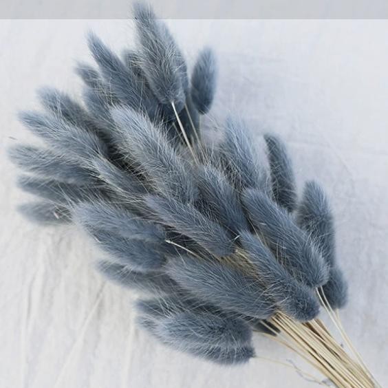 Bleu C